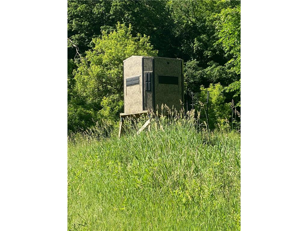 27333 Deep River Road Arendahl Twp MN 55949 7048286 image4