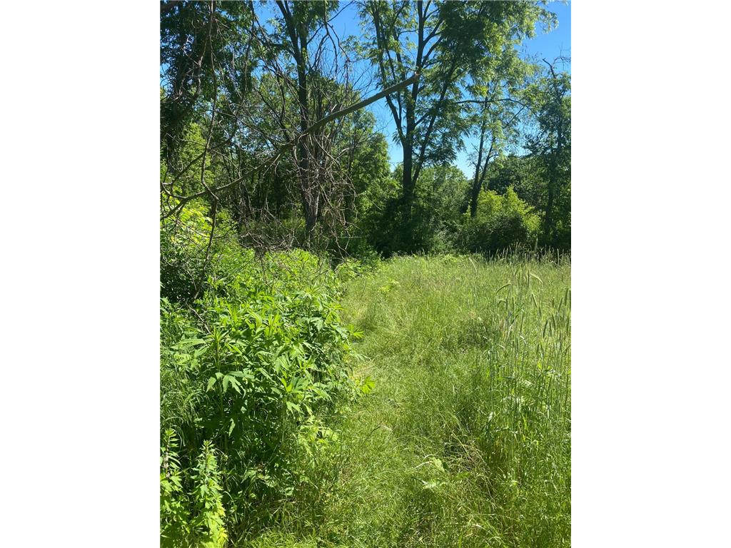 27333 Deep River Road Arendahl Twp MN 55949 7048286 image45