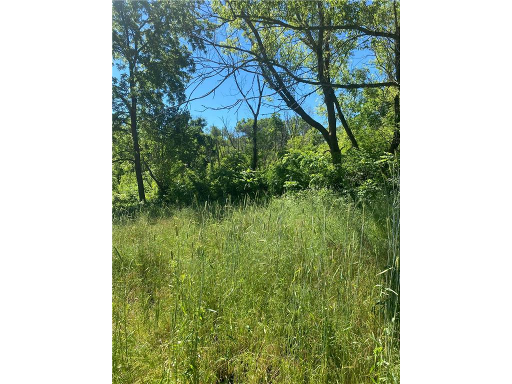 27333 Deep River Road Arendahl Twp MN 55949 7048286 image46