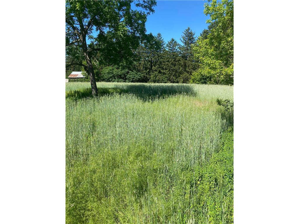 27333 Deep River Road Arendahl Twp MN 55949 7048286 image48