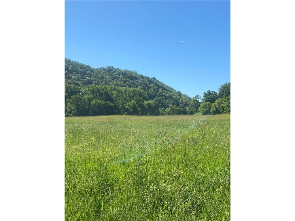 27333 Deep River Road Arendahl Twp MN 55949 7048286 image5