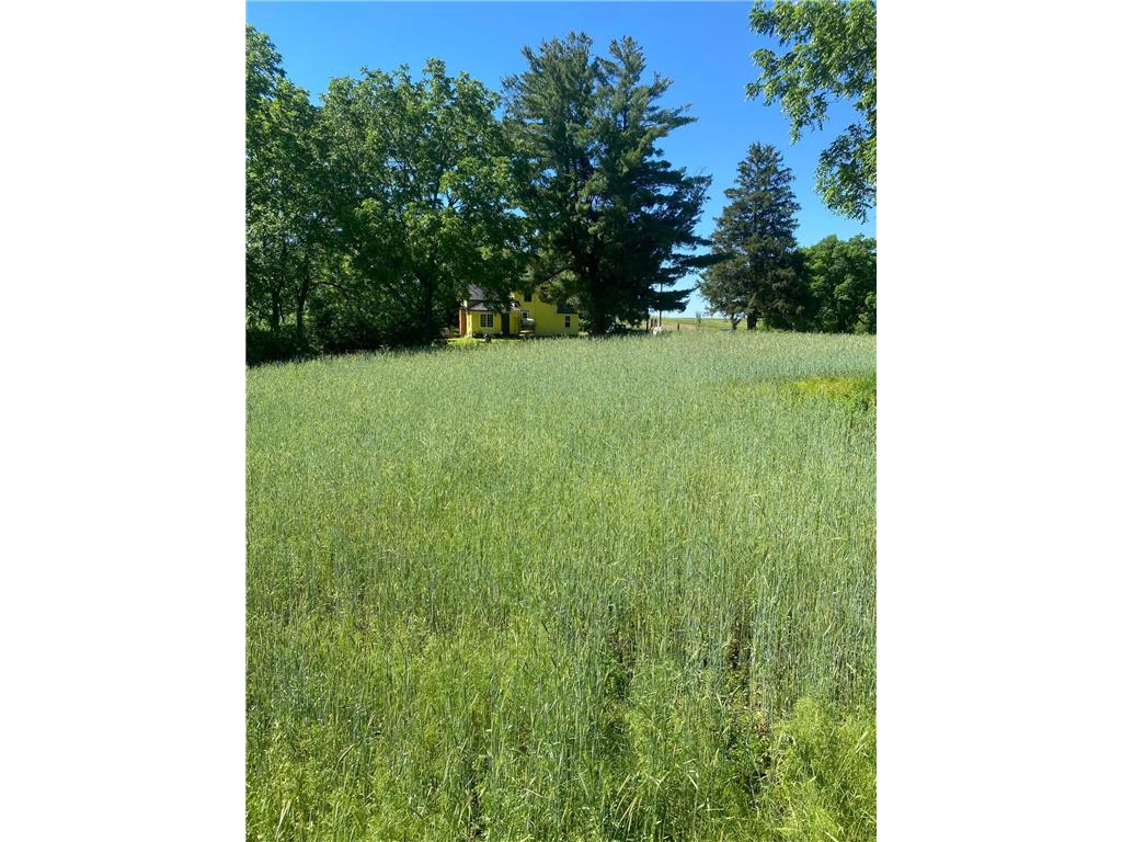 27333 Deep River Road Arendahl Twp MN 55949 7048286 image50