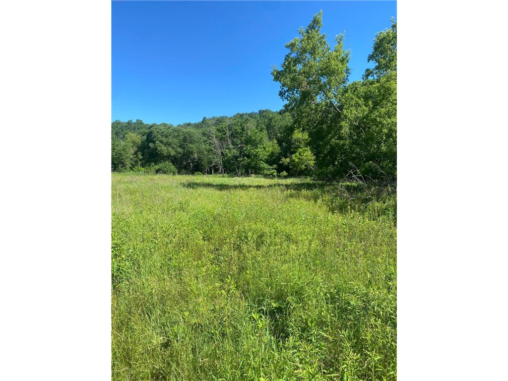 27333 Deep River Road Arendahl Twp MN 55949 7048286 image51