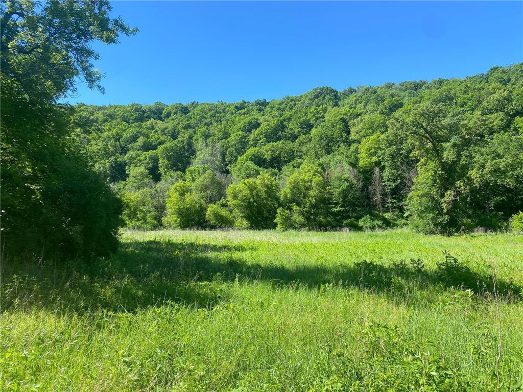 27333 Deep River Road Arendahl Twp MN 55949 7048286 image52