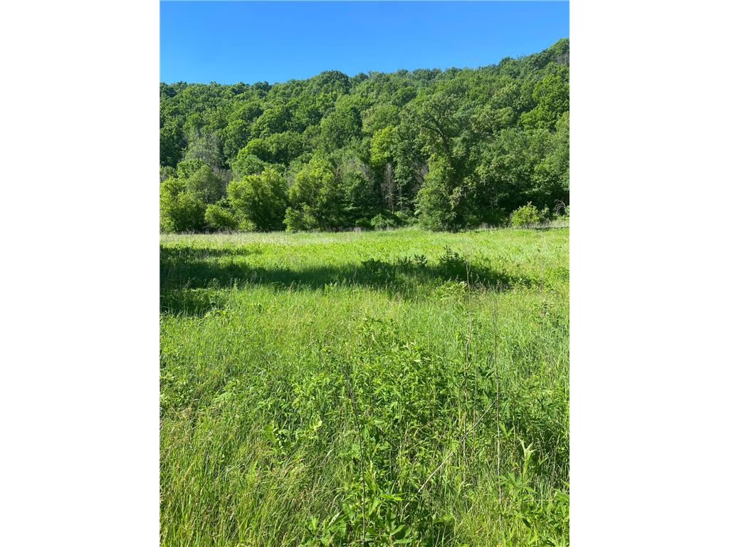 27333 Deep River Road Arendahl Twp MN 55949 7048286 image53