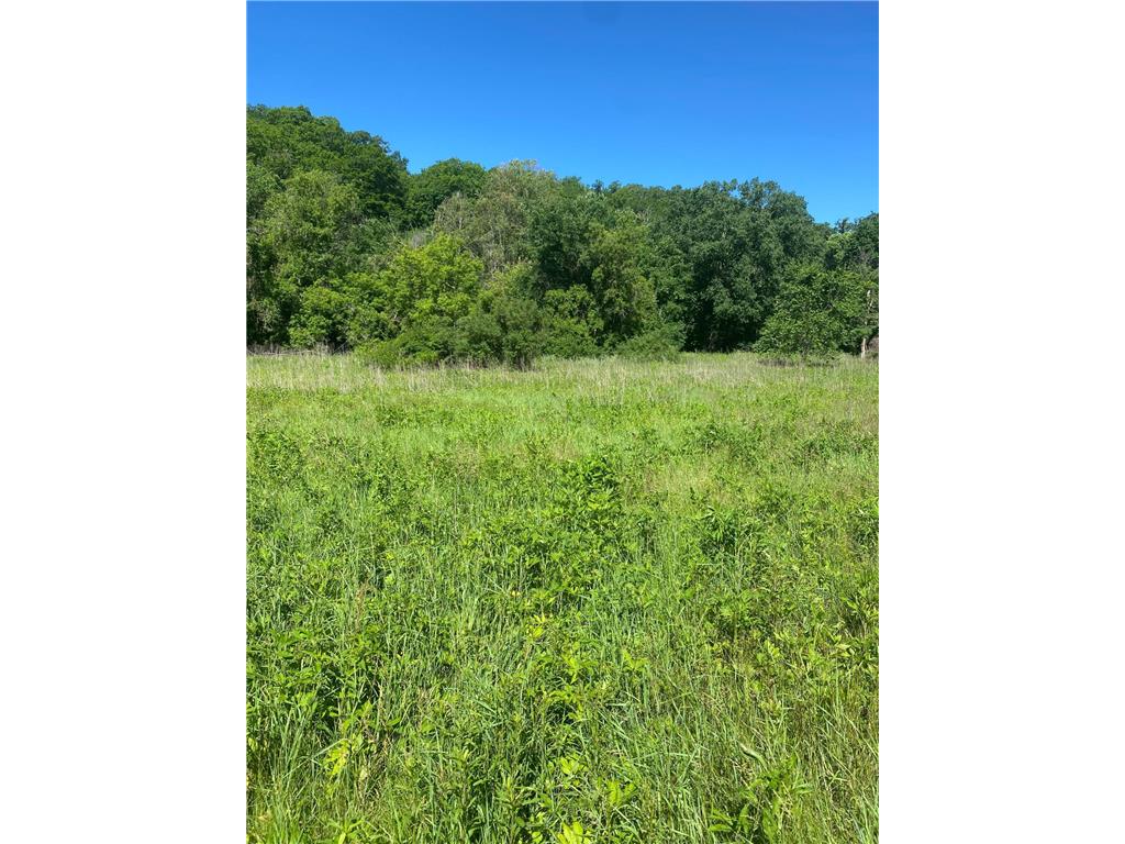 27333 Deep River Road Arendahl Twp MN 55949 7048286 image54