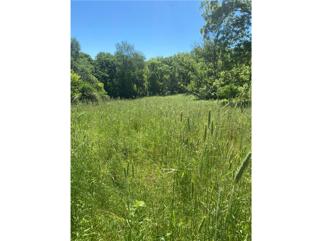 27333 Deep River Road Arendahl Twp MN 55949 7048286 image57