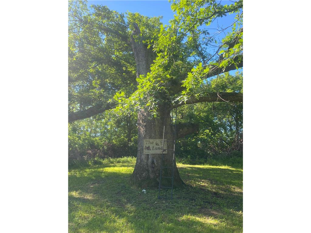 27333 Deep River Road Arendahl Twp MN 55949 7048286 image58