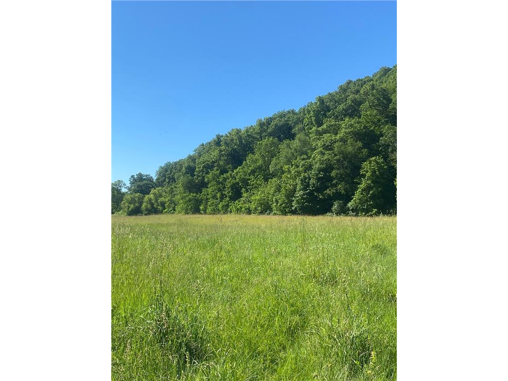 27333 Deep River Road Arendahl Twp MN 55949 7048286 image6