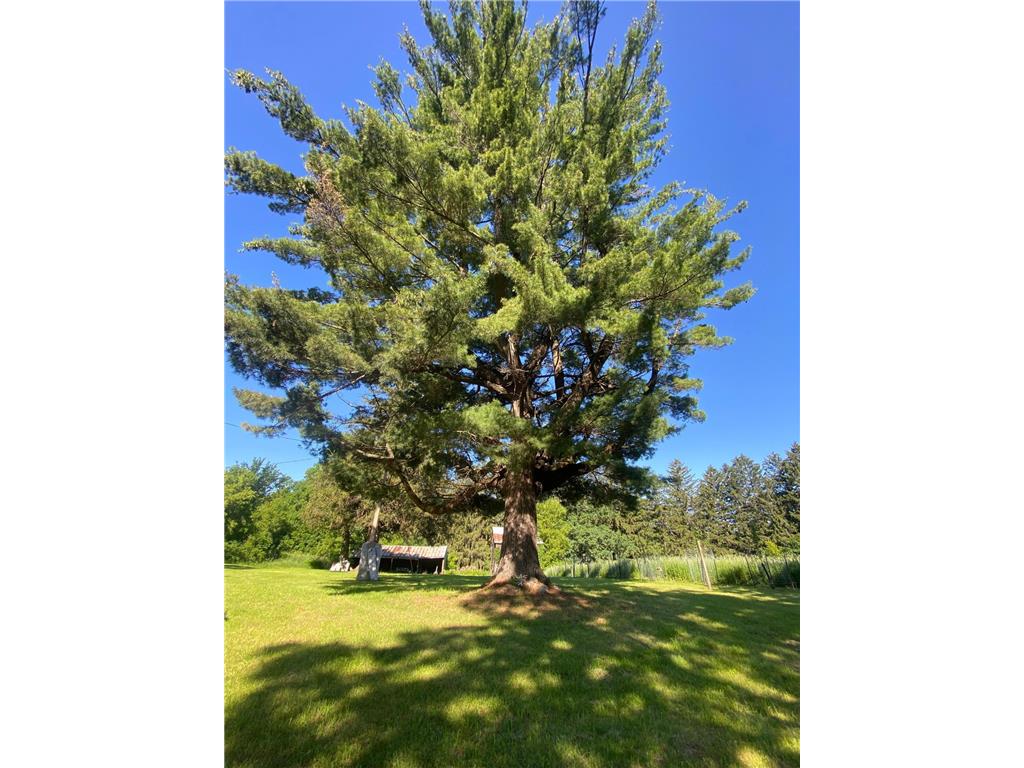 27333 Deep River Road Arendahl Twp MN 55949 7048286 image64