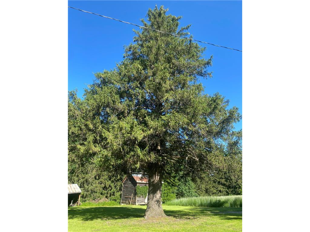 27333 Deep River Road Arendahl Twp MN 55949 7048286 image65