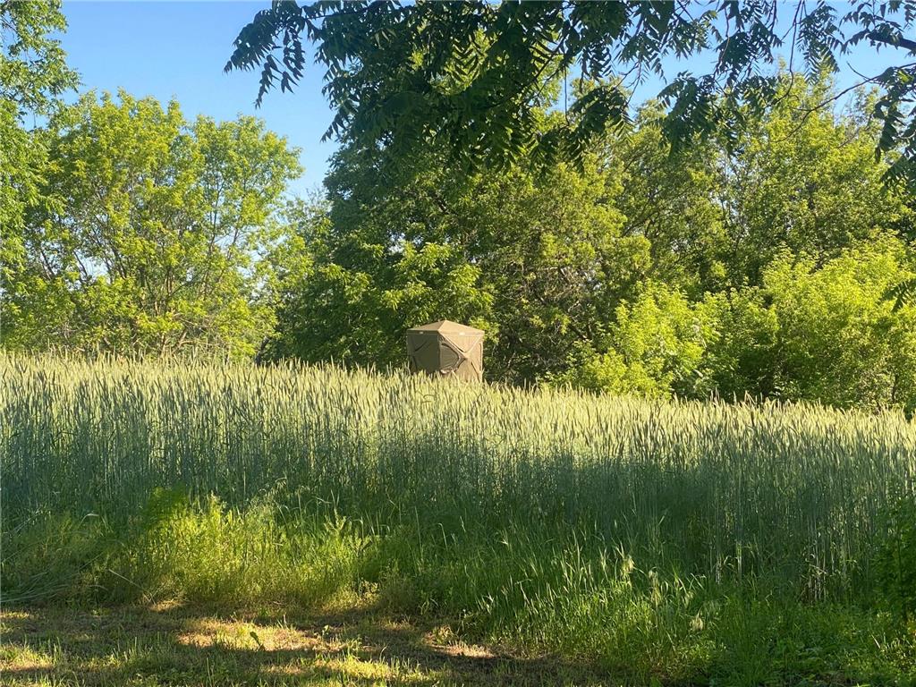 27333 Deep River Road Arendahl Twp MN 55949 7048286 image67