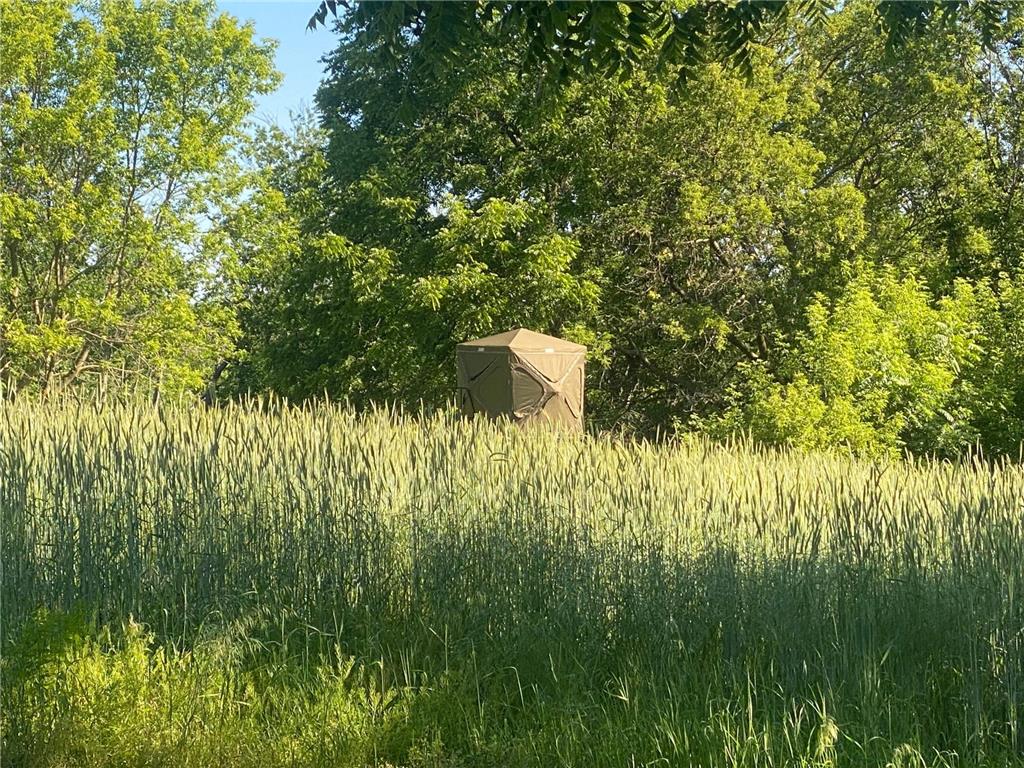 27333 Deep River Road Arendahl Twp MN 55949 7048286 image68