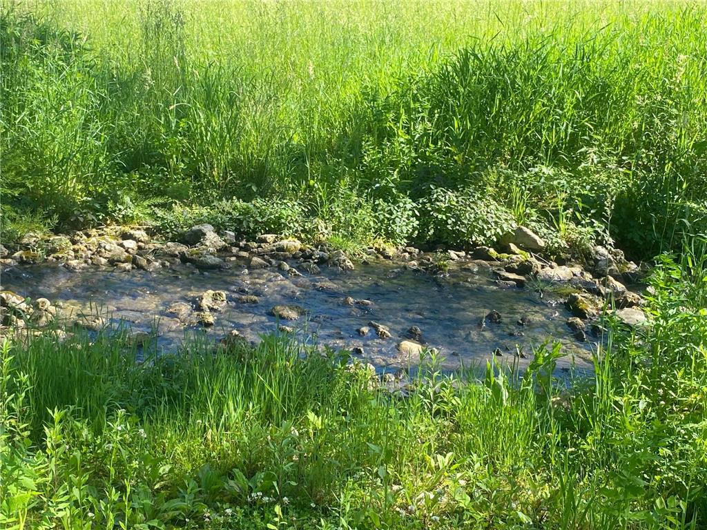 27333 Deep River Road Arendahl Twp MN 55949 7048286 image7