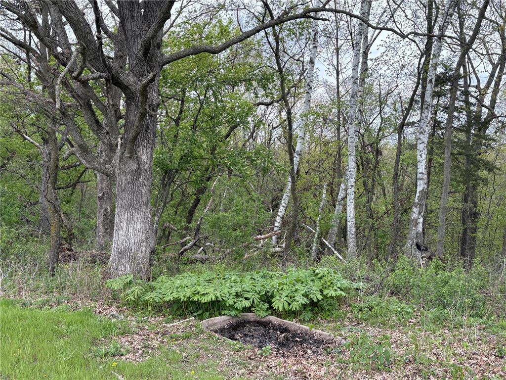 27333 Deep River Road Arendahl Twp MN 55949 7048286 image74