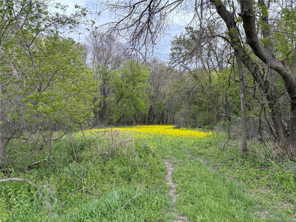 27333 Deep River Road Arendahl Twp MN 55949 7048286 image75
