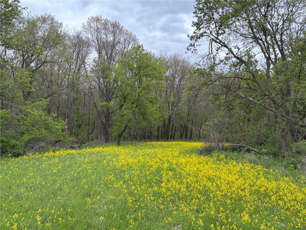 27333 Deep River Road Arendahl Twp MN 55949 7048286 image76