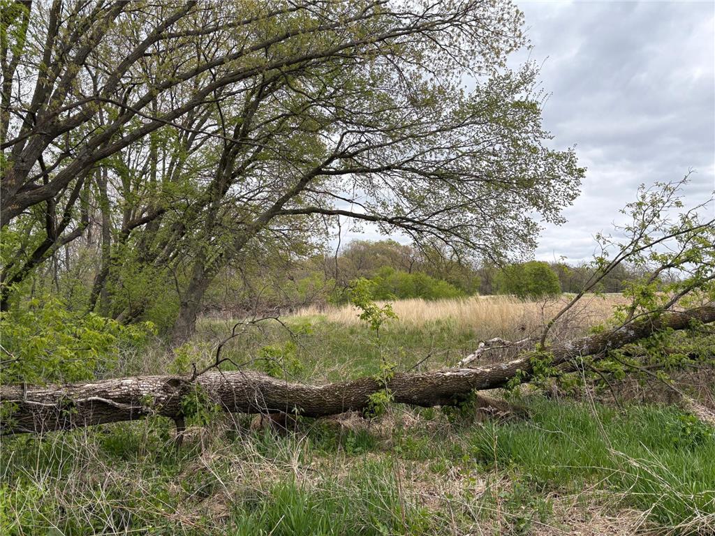 27333 Deep River Road Arendahl Twp MN 55949 7048286 image77