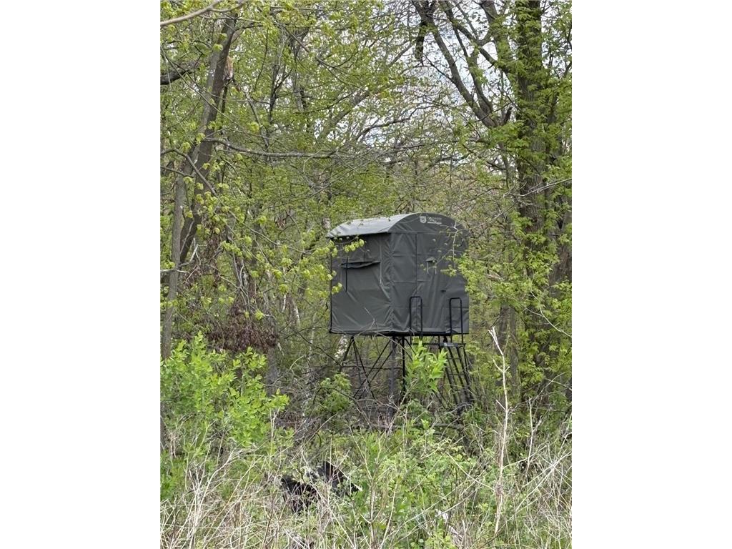 27333 Deep River Road Arendahl Twp MN 55949 7048286 image78