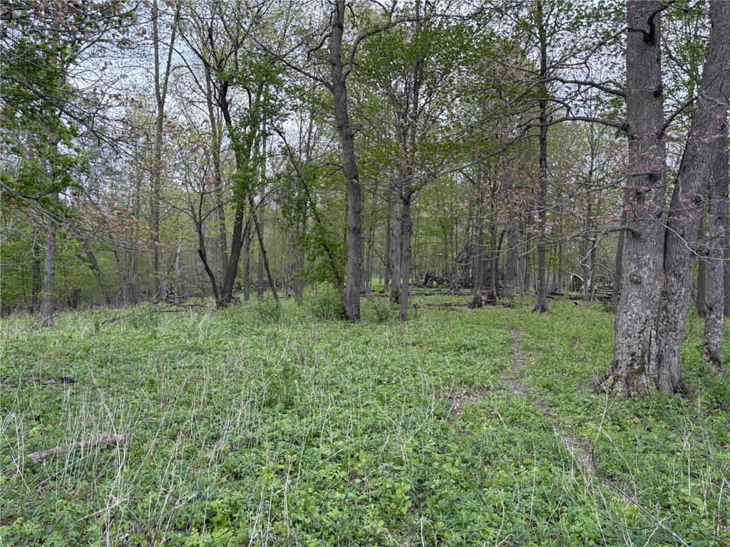 27333 Deep River Road Arendahl Twp MN 55949 7048286 image79