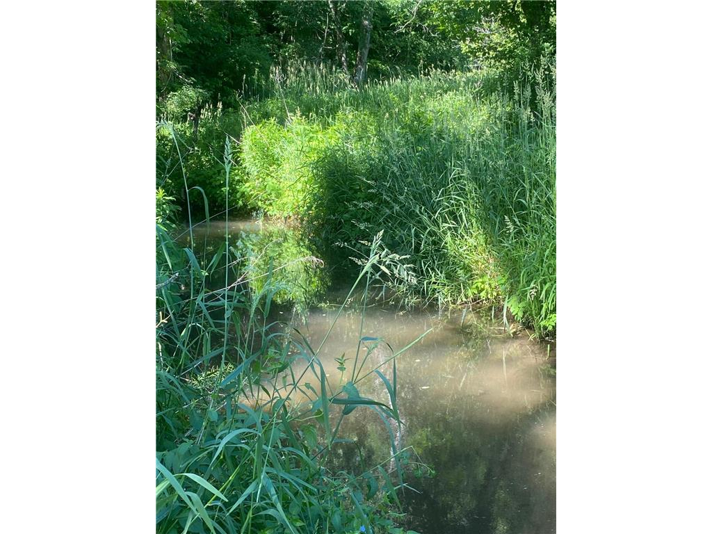 27333 Deep River Road Arendahl Twp MN 55949 7048286 image8