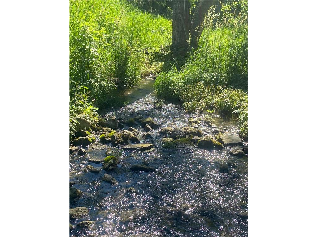 27333 Deep River Road Arendahl Twp MN 55949 7048286 image9