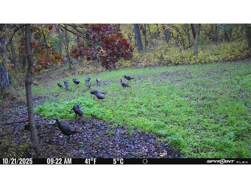 27380 Sevastopol Road Red Wing MN 55066 7052223 image9