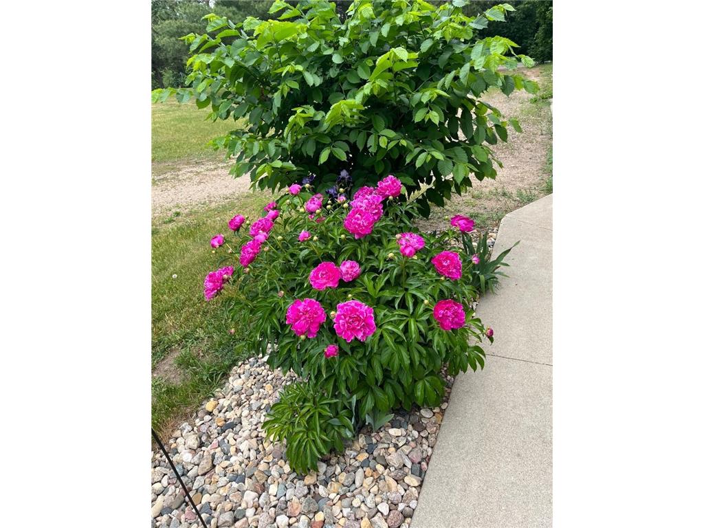 27388 County Road 34 Paynesville MN 56362 6813566 image60