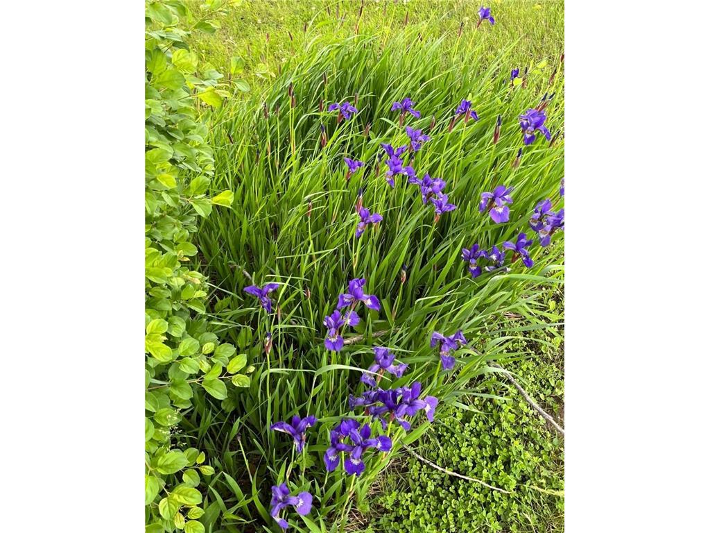 27388 County Road 34 Paynesville MN 56362 6813566 image62