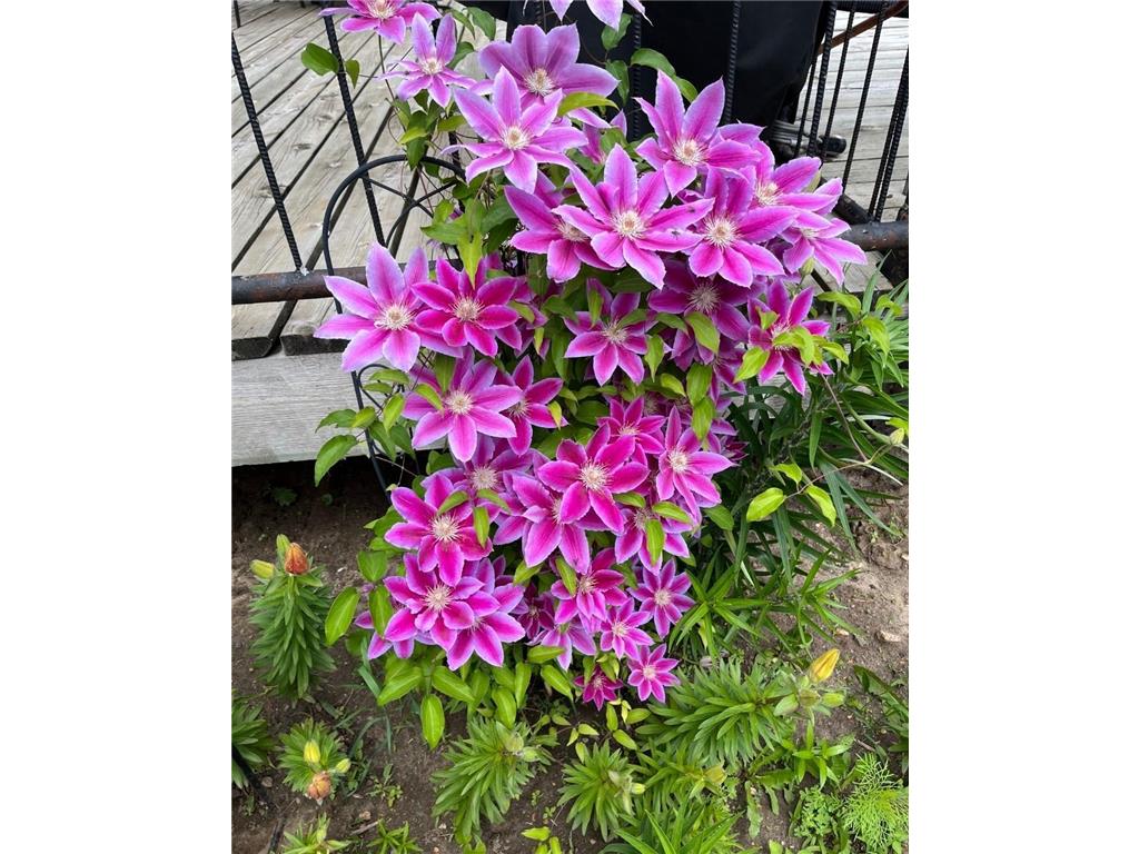 27388 County Road 34 Paynesville MN 56362 6813566 image63