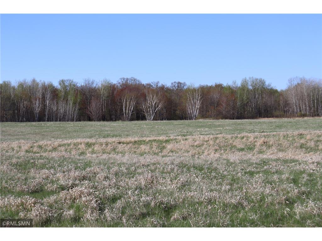 2743 290th Avenue Pomroy Twp MN 55007 6533541 image1