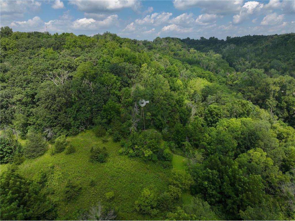 27466 County 5 Boulevard Red Wing MN 55066 6695062 image17