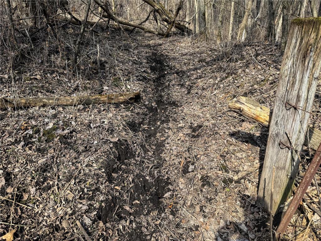 27466 County 5 Boulevard Red Wing MN 55066 6695062 image38