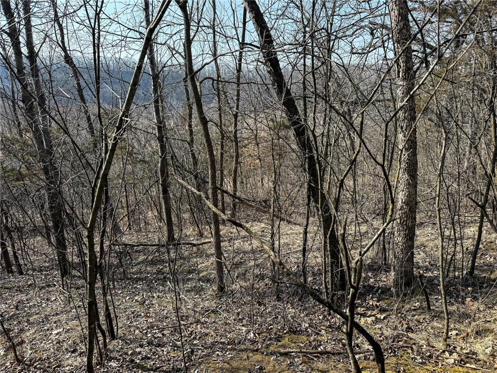 27466 County 5 Boulevard Red Wing MN 55066 6695062 image39