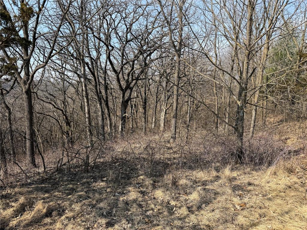 27466 County 5 Boulevard Red Wing MN 55066 6695062 image40