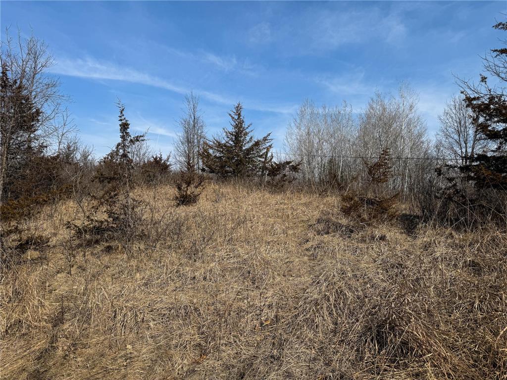 27466 County 5 Boulevard Red Wing MN 55066 6695062 image41