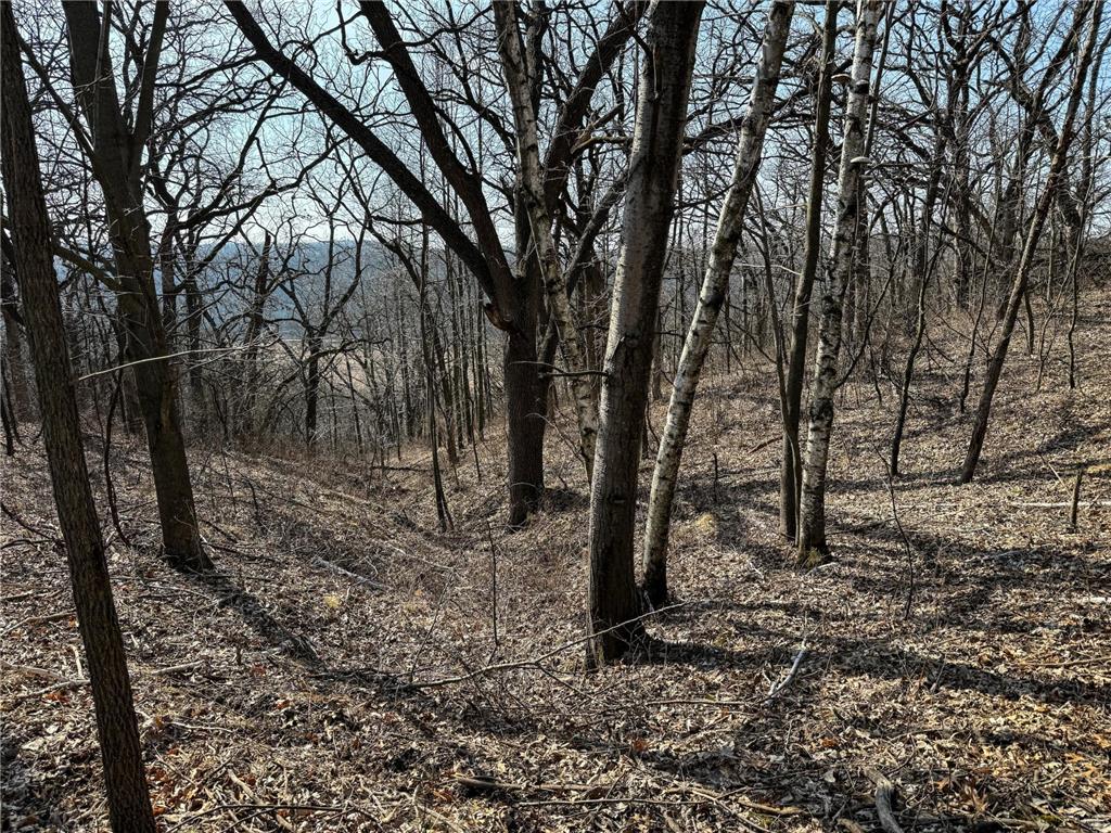 27466 County 5 Boulevard Red Wing MN 55066 6695062 image44