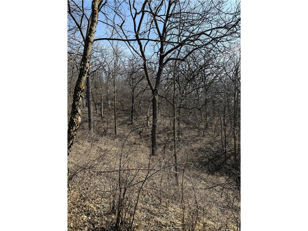 27466 County 5 Boulevard Red Wing MN 55066 6695062 image45