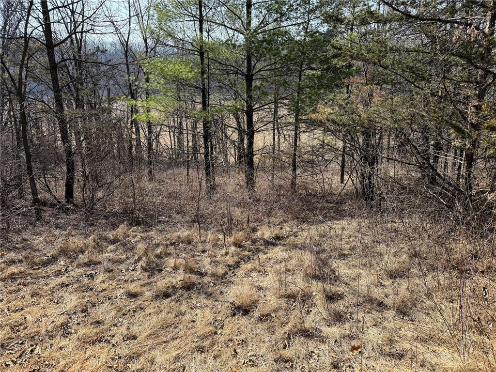 27466 County 5 Boulevard Red Wing MN 55066 6695062 image46