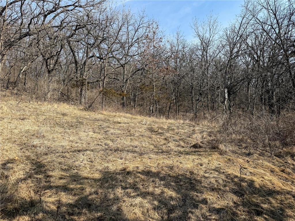 27466 County 5 Boulevard Red Wing MN 55066 6695062 image47