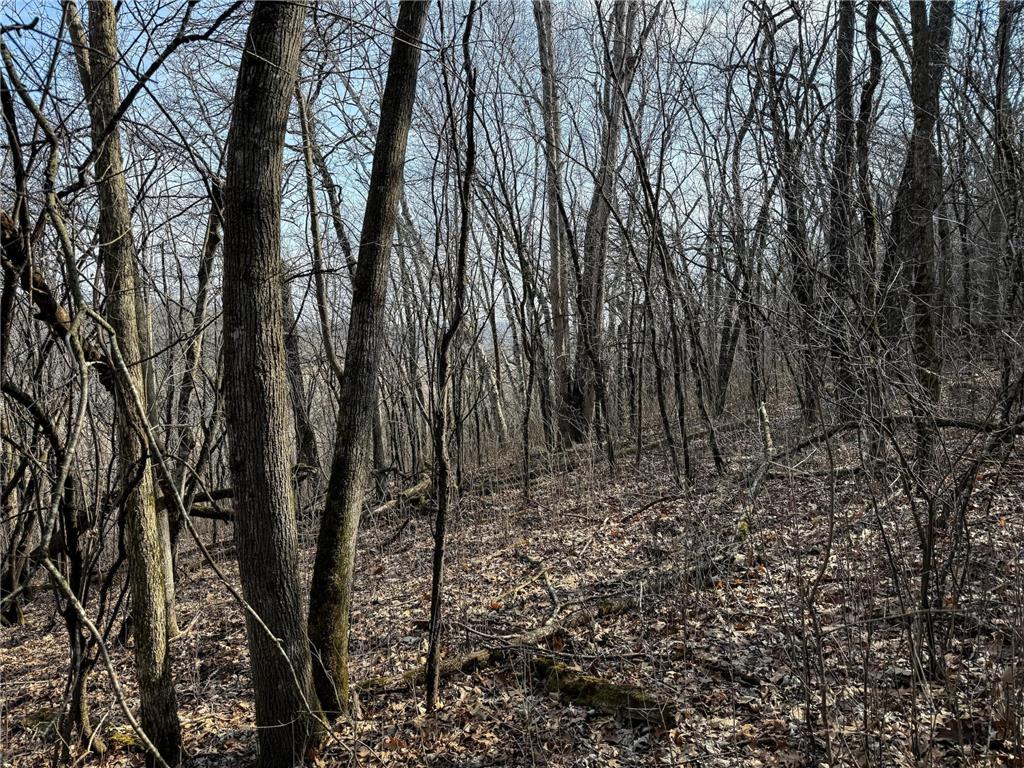 27466 County 5 Boulevard Red Wing MN 55066 6695062 image48