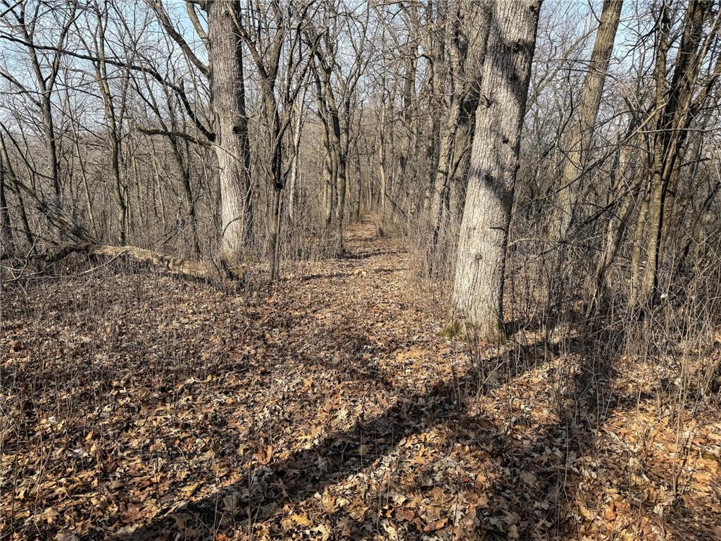 27466 County 5 Boulevard Red Wing MN 55066 6695062 image49