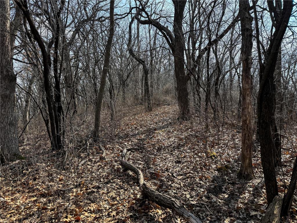 27466 County 5 Boulevard Red Wing MN 55066 6695062 image50