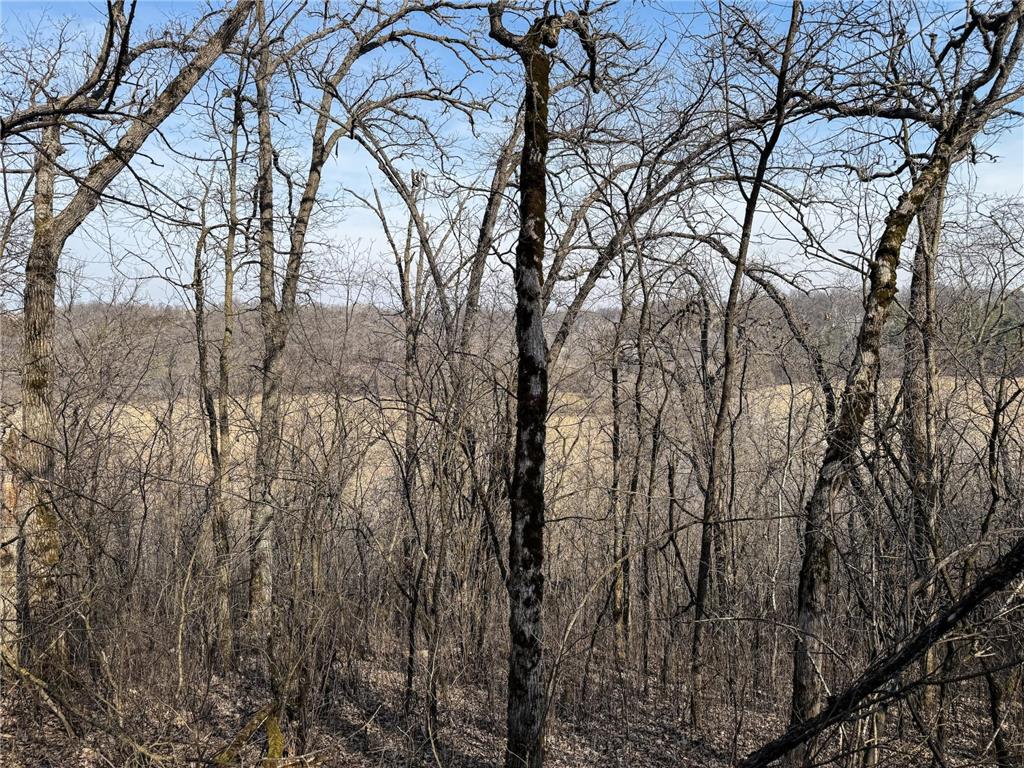 27466 County 5 Boulevard Red Wing MN 55066 6695062 image51