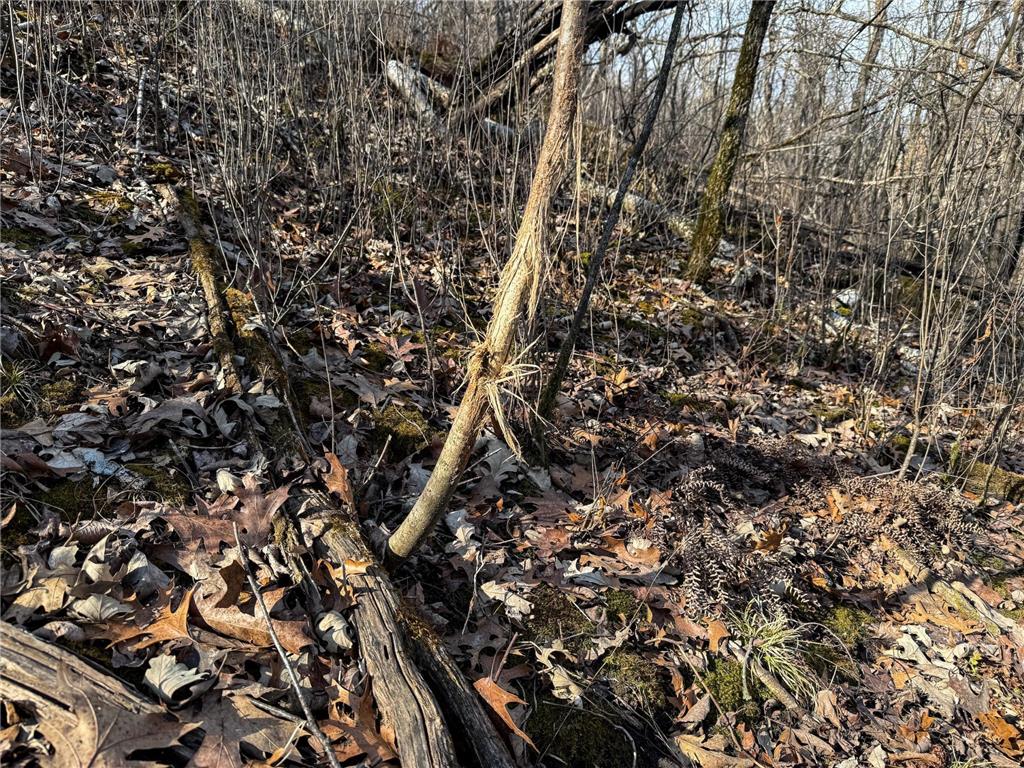 27466 County 5 Boulevard Red Wing MN 55066 6695062 image52