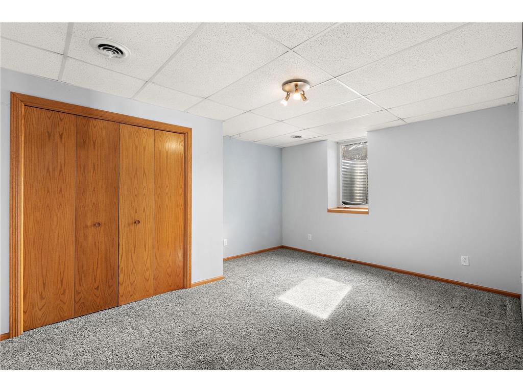27509 742nd Avenue Dassel MN 55325 - Big Swan 7058314 image20