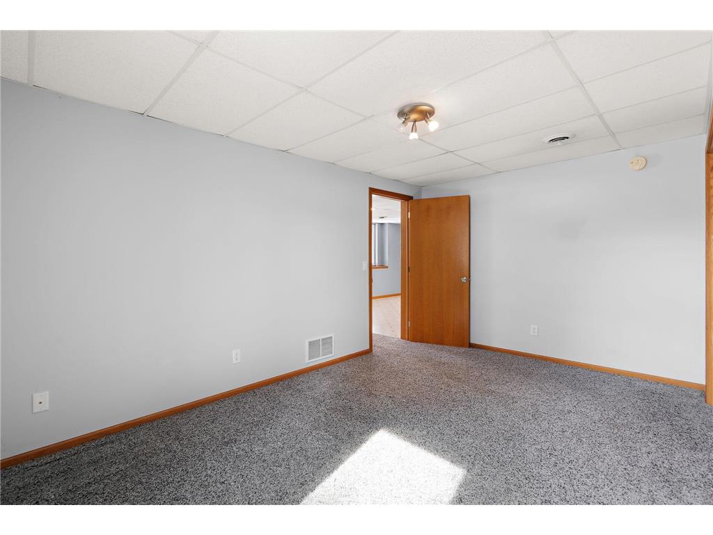 27509 742nd Avenue Dassel MN 55325 - Big Swan 7058314 image21