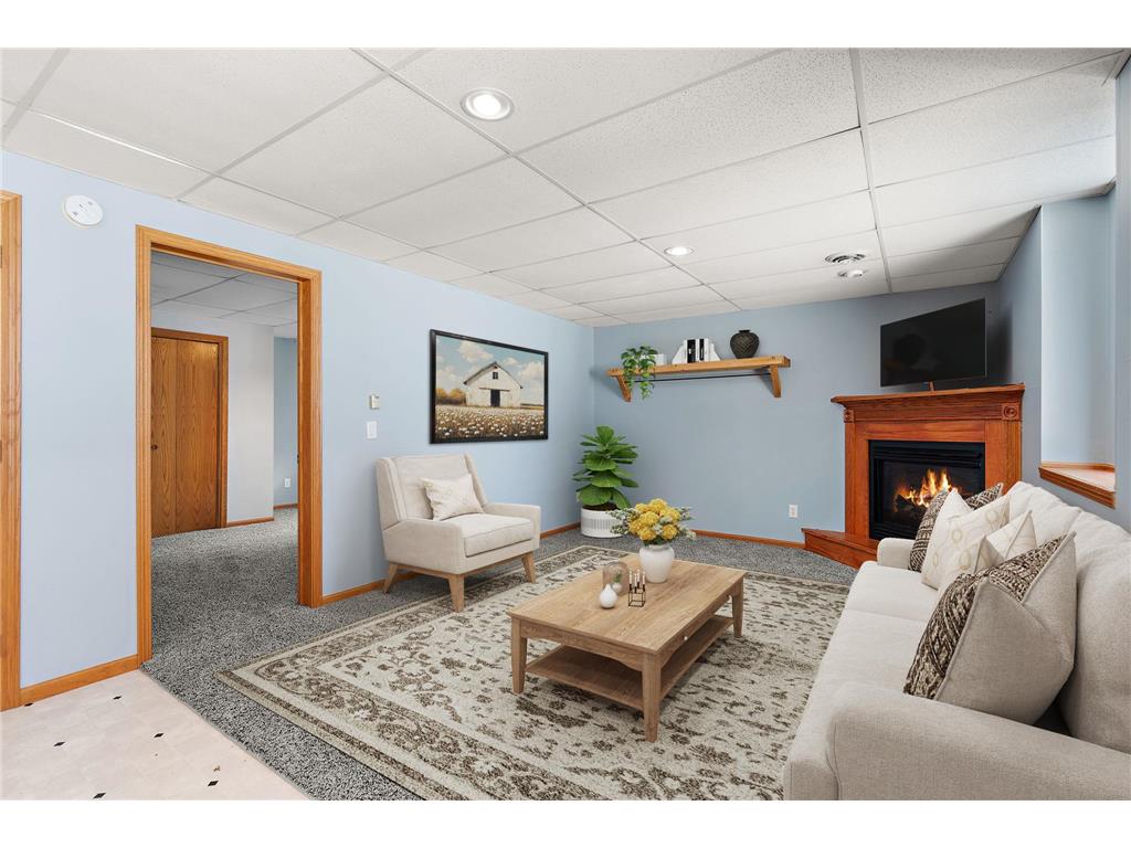 27509 742nd Avenue Dassel MN 55325 - Big Swan 7058314 image22