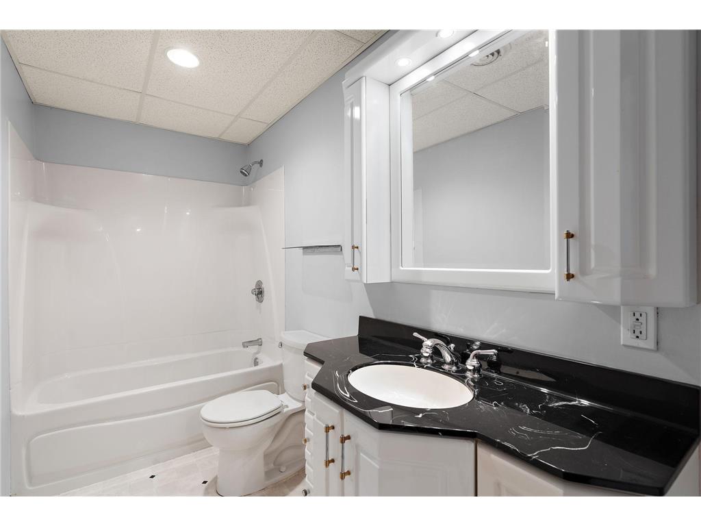 27509 742nd Avenue Dassel MN 55325 - Big Swan 7058314 image27