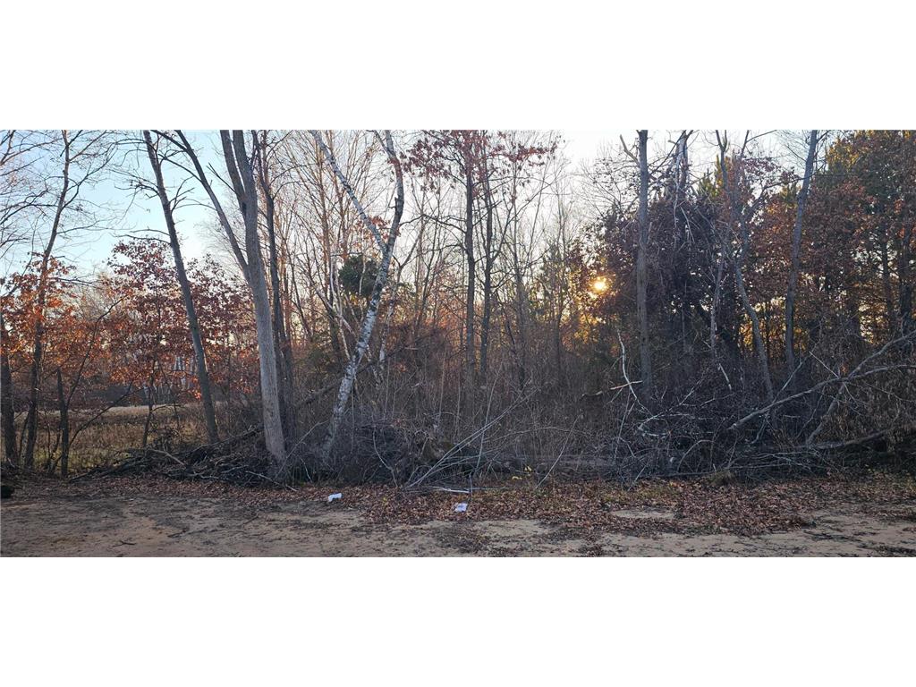 27532 Dahlia Street NW Isanti MN 55040 7009134 image45